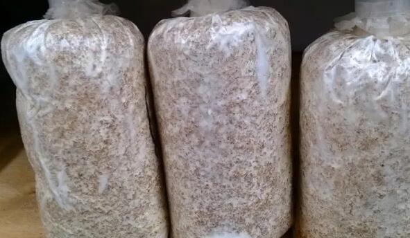 QQ截圖20220625153954.jpg QQ截圖20220625153954.jpg